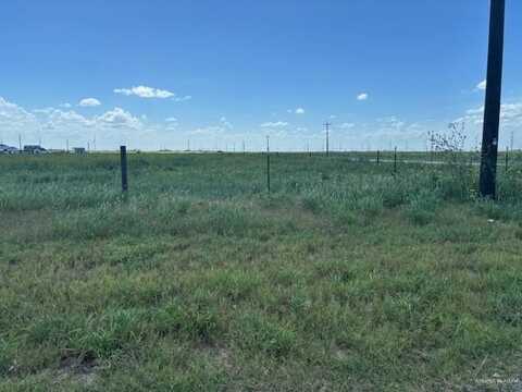 00000 N Wallace Road, Edinburg, TX 78541