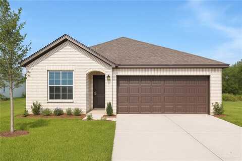920 W Star Flower Street, Edinburg, TX 78541