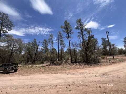 Ike Clark Way, Young, AZ 85554