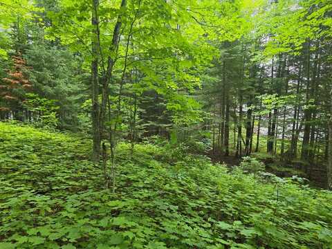 2468 BOAT LANDING RD, Paulding, MI 49912