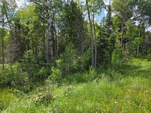 40 Ac HWY 45, Watersmeet, MI 49969