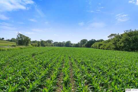 Parcel 011156295, Gretna, NE 68154