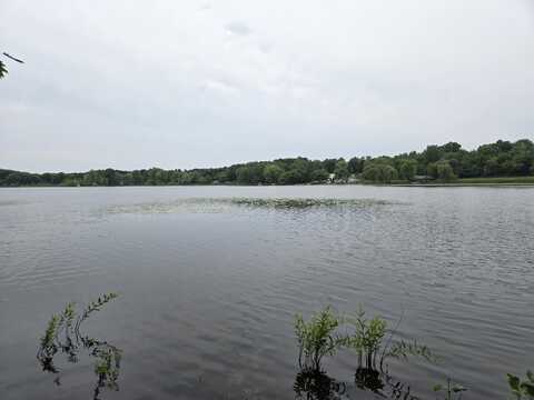 0 White Lake Road, Pleasant Lake, MI 49272