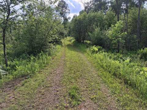 6897 RIVERSIDE Road, Evart, MI 49631