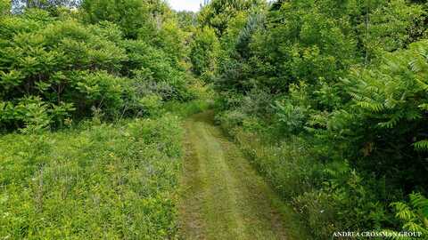 9325 S Cedar Drive, Allendale, MI 49401