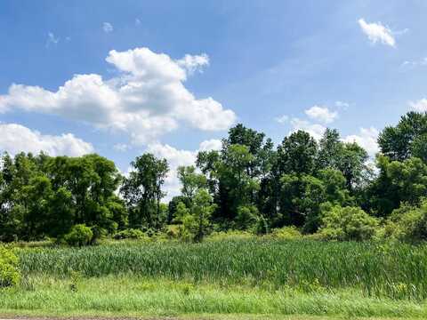 9250 92nd Street SE, Alto, MI 49302