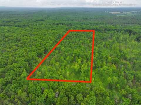 V/L 10.09a E Abermanis Trail, Luther, MI 49656