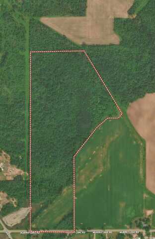 V/L Murphy Lake Road, Millington, MI 48746