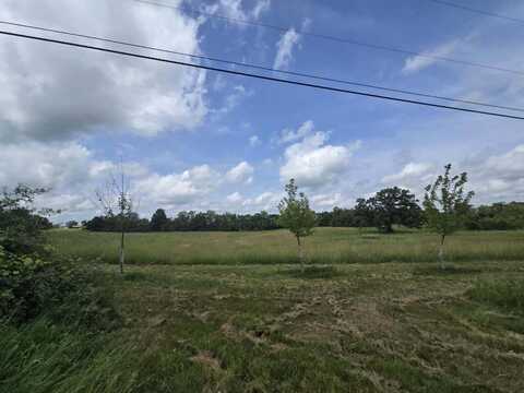 0 Walkowe Lane, Manchester, MI 48158