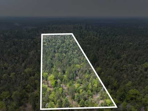 V/L N Widewaters Road, Paradise, MI 49768