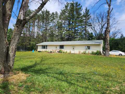 8335 S Connecticut, Baldwin, MI 49304