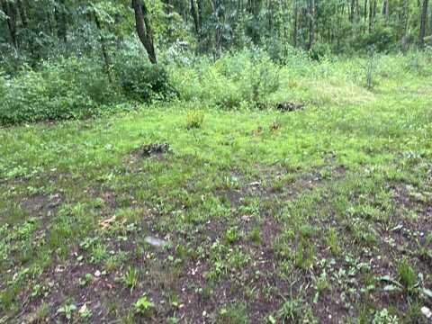 667 Pierce Road, Plainwell, MI 49080