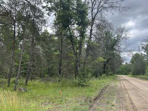 V/L S Dillard Street, Baldwin, MI 49304