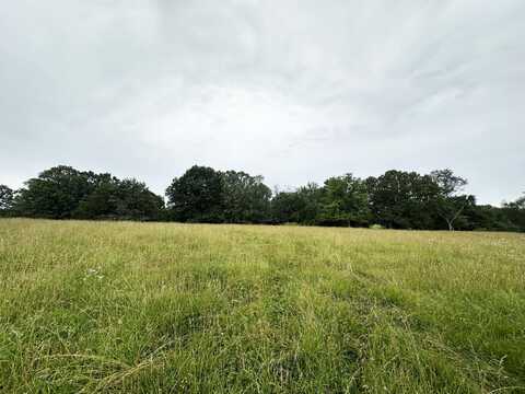 73 Gamble Road, Billings, MO 65610