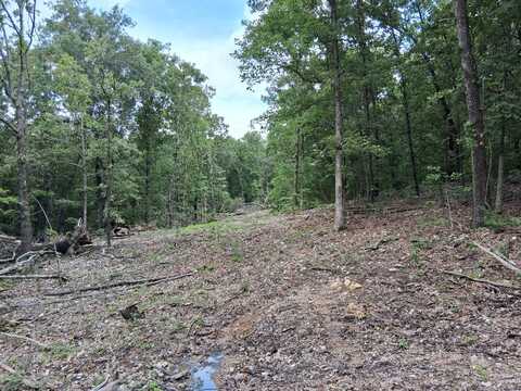 Tbd County Road 350, Dora, MO 65637