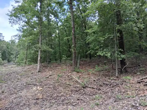 Tbd County Road 350, Dora, MO 65637