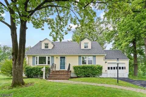 75 Madison Ter, Springfield, NJ 07081