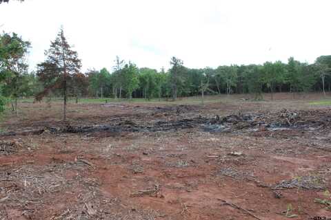 TBD - TRACT 3 CR 4118, Jacksonville, TX 75766