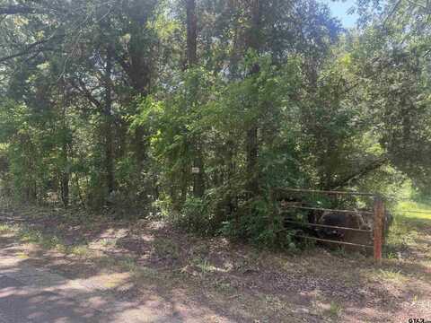 1067 CR 3331, Cookville, TX 75558