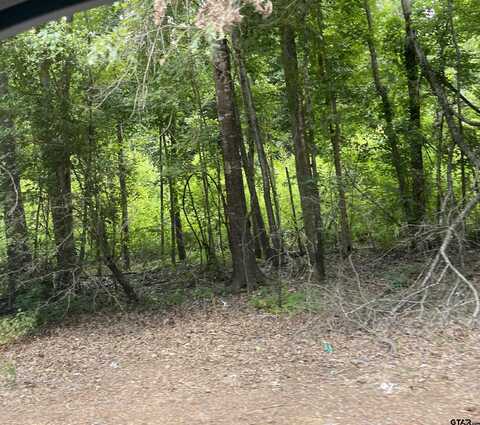 TBD FM 557, Pittsburg, TX 75686
