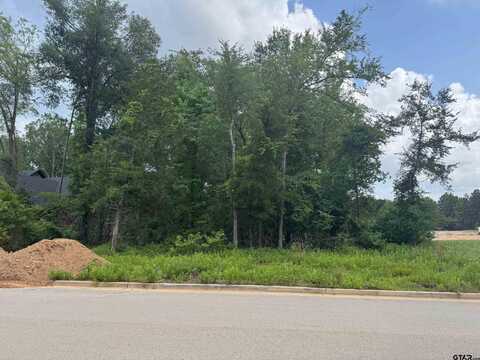 2332 Hidden Creek Trail, Tyler, TX 75703