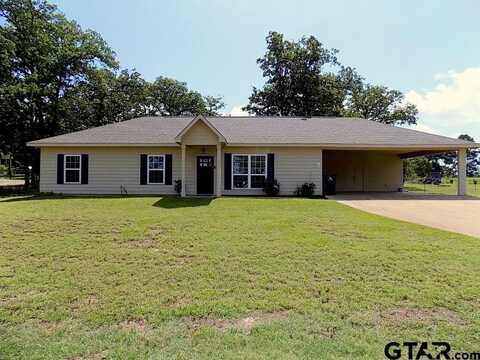 229 Eagles Landing, Winnsboro, TX 75494