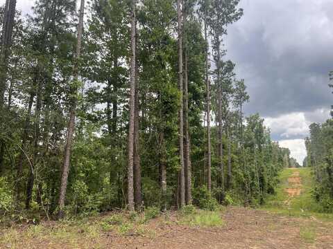 #7 Lawler Rd., Lumberton, MS 39455