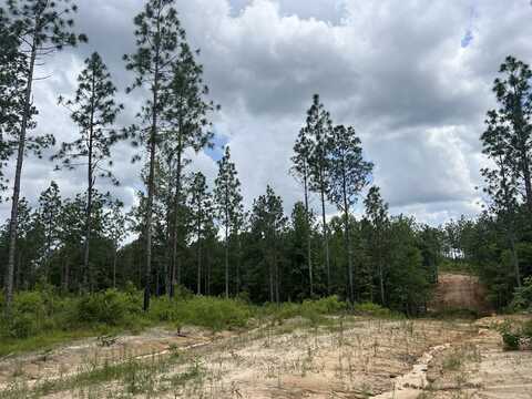 #5 Lawler Rd., Lumberton, MS 39455