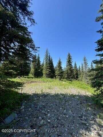 34718 North Fork Road, Anchor Point, AK 99556