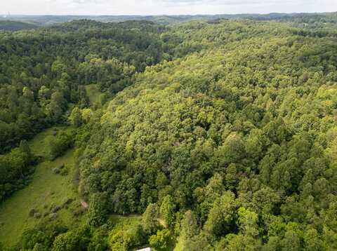 517 Lake Road, Fort Gay, WV 25514