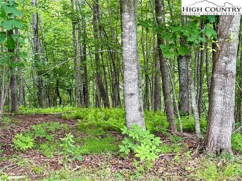 Lot 20 Twin Bridges Circle, Fleetwood, NC 28626