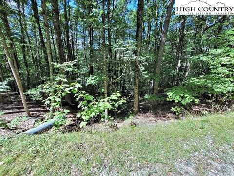 118 S Hickory Lane, Beech Mountain, NC 28604