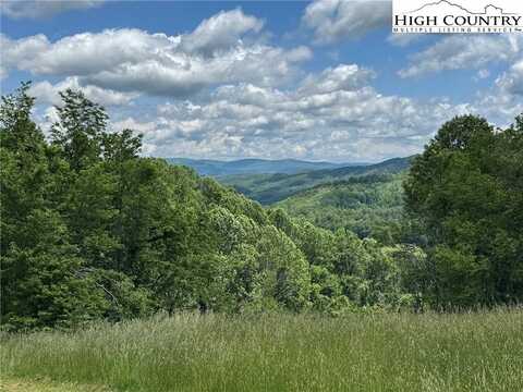 Tbd Lot 3 Mayito Lane, Mouth of Wilson, VA 24363