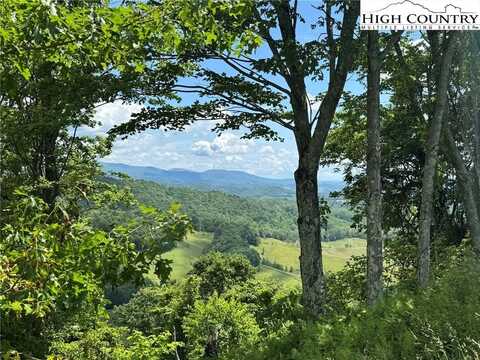 Tbd Lot 4 Mayito Lane, Mouth of Wilson, VA 24363