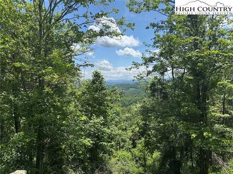 Tbd- Lot 1 Mayito Lane, Mouth of Wilson, VA 24363