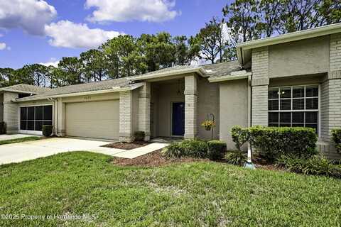 7423 Woodhollow Road, Spring Hill, FL 34606