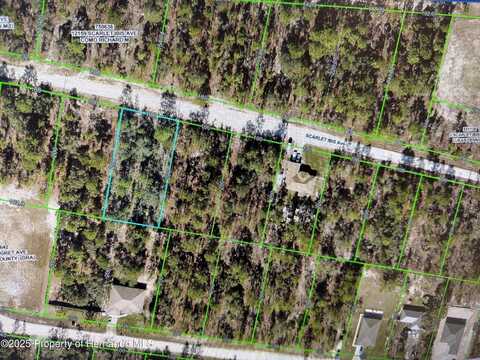 12170 Scarlet Ibis Avenue, Weeki Wachee, FL 34614