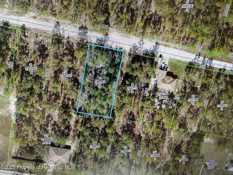 12180 Scarlet Ibis Avenue, Weeki Wachee, FL 34614