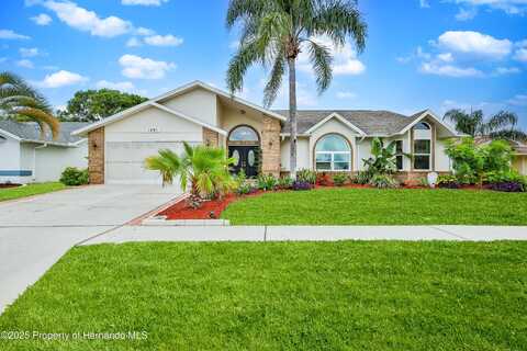 1291 masada Lane, Spring Hill, FL 34608