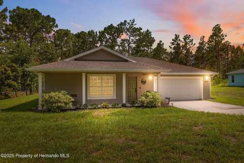 11034 Flock Ave, Spring Hill, FL 34613