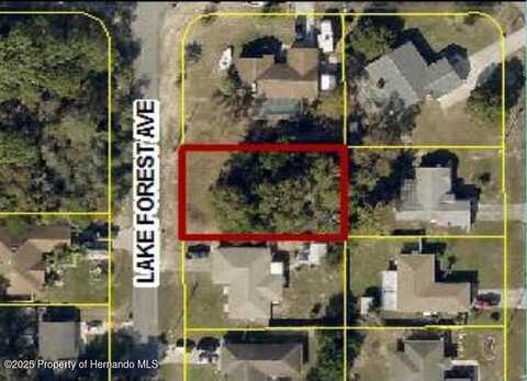 0 Lake Forest Avenue, Spring Hill, FL 34609