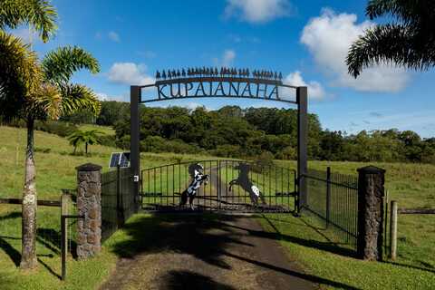 29-596 CHIN CHUCK RD, Hakalau, HI 96710