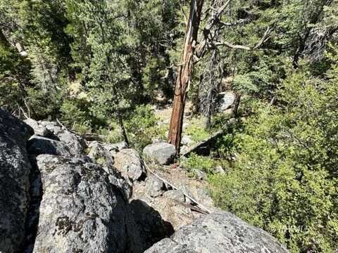 4s02, Idyllwild-Pine Cove, CA 92549