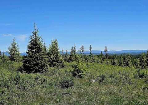 Nna Timberline Heights, Parcel 3, Weippe, ID 83553