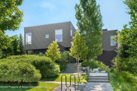 202 Evans Road, Basalt, CO 81621