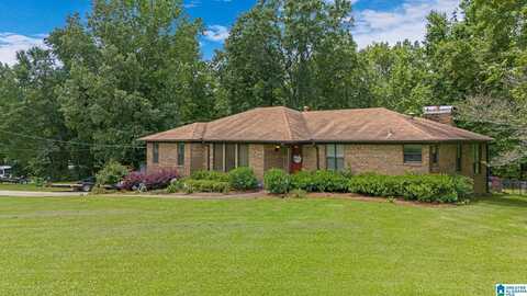 7717 LOCK 17 ROAD, BESSEMER, AL 35023