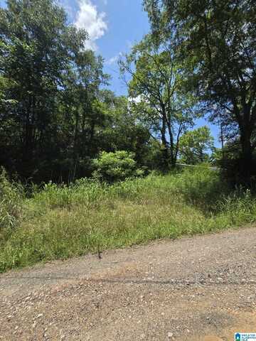 39 THOMAS ROAD, CORDOVA, AL 35550