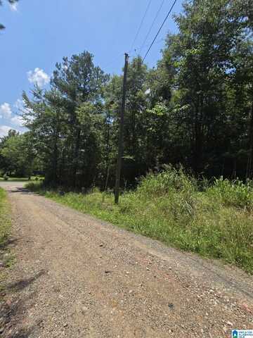 39 THOMAS ROAD, CORDOVA, AL 35550
