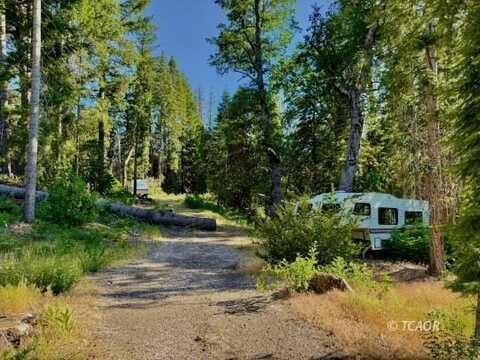 211 Wildwood Rd, Wildwood, CA 96076
