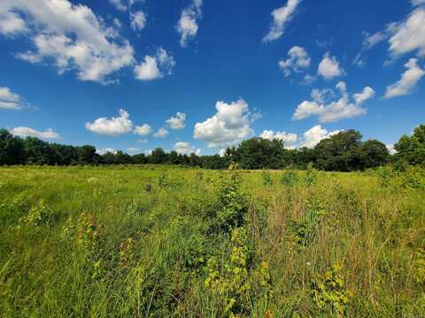 1306 CR 461, Piggott, AR 72454
